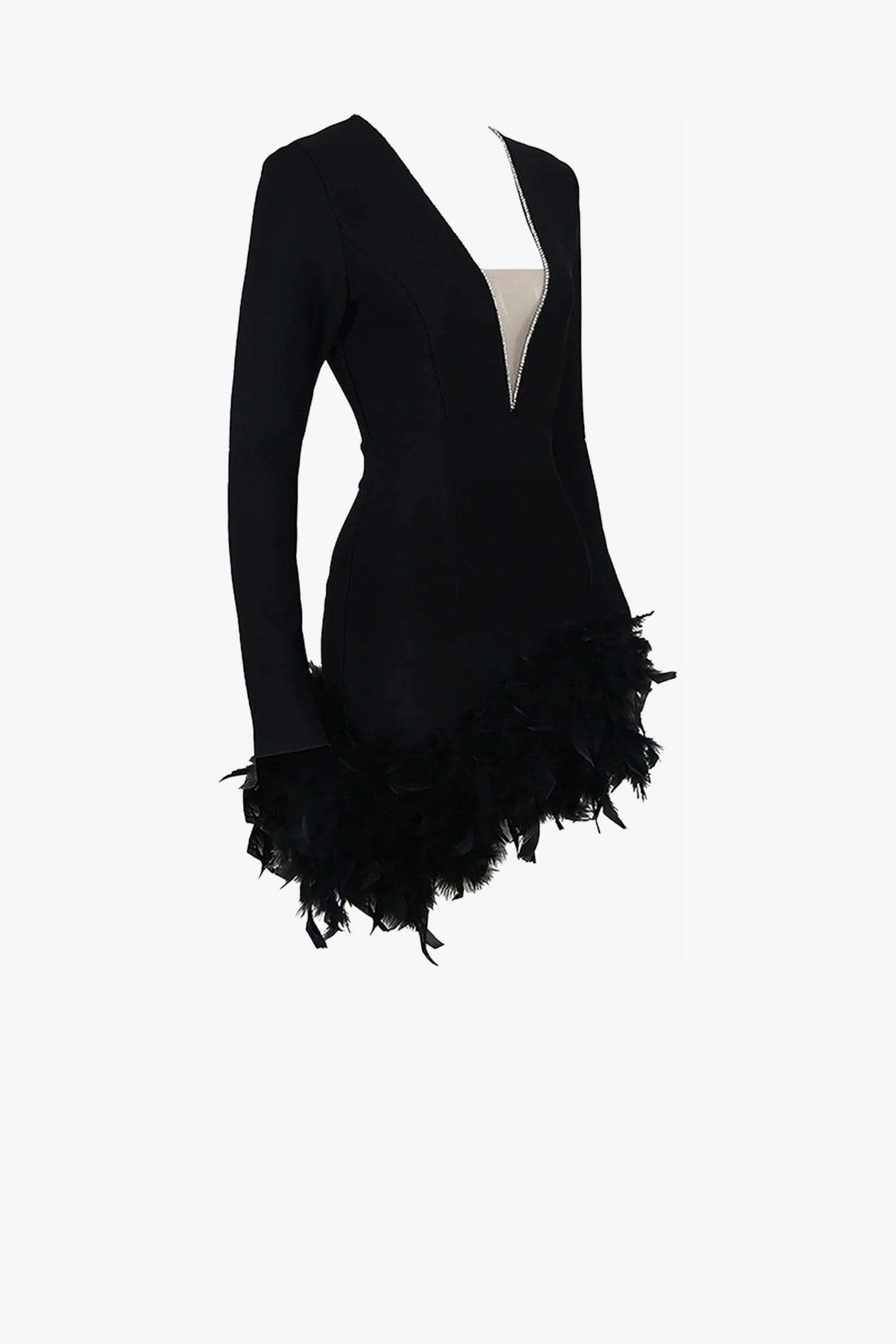 Black Long Sleeves Feather Skirt Mini Dress